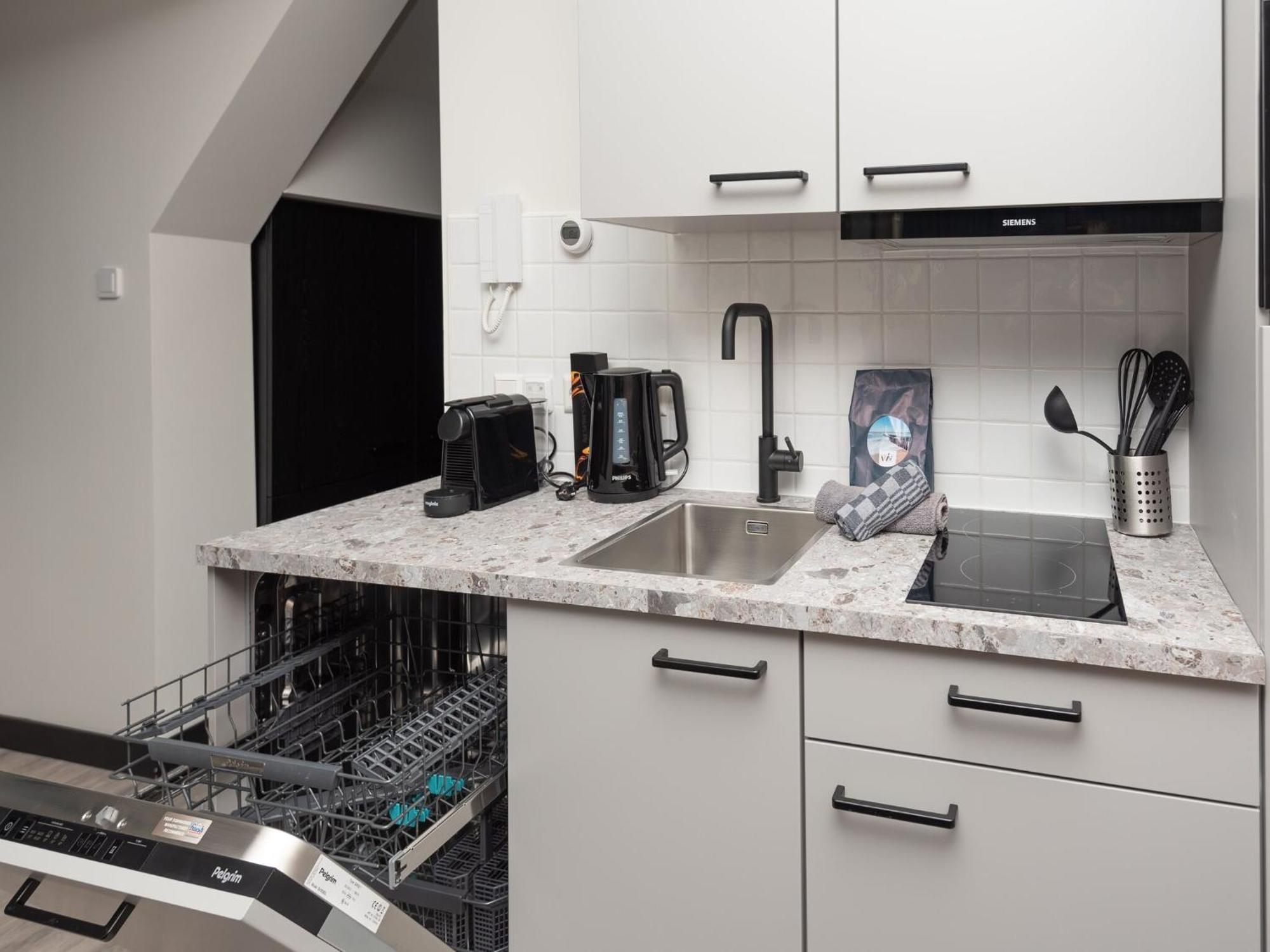 Luxury Apartment In Renesse With Infrared Sauna Dış mekan fotoğraf